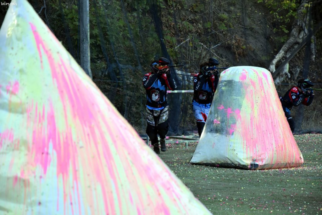 Div2-284